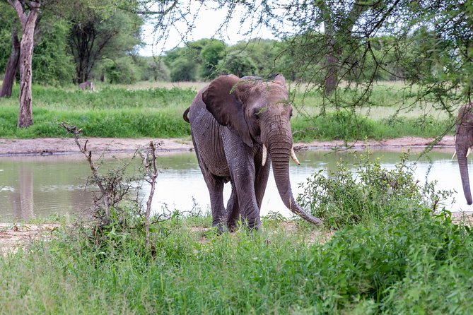 4-day Tanzania Safari - What this six-day Tanzania safari really includes