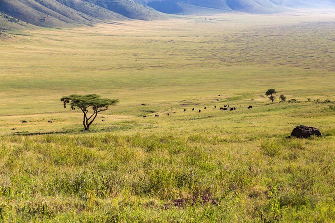 4-day Tanzania Safari - Is $3,296.40 per person a fair price?