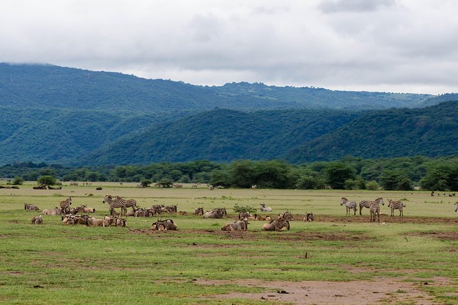 4-day Tanzania Safari - Day 2: Tarangire and the elephant country