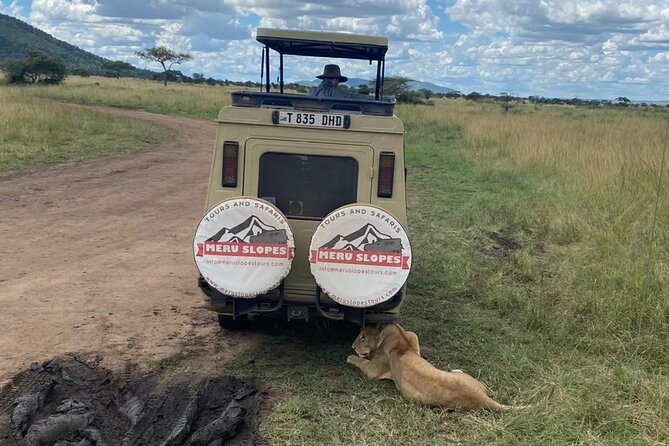 4-Day Tarangire Serengeti, Ngorongoro & Maasai Guided group tour - What $1,030 buys you on this Tanzania safari