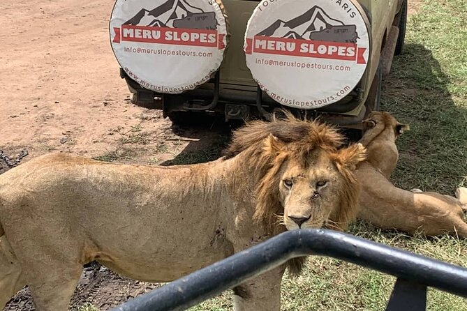 4-Day Tarangire Serengeti, Ngorongoro & Maasai Guided group tour - Day 4: Down into Ngorongoro Crater