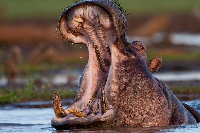 4 Day: Taste of Wildlife - Day 2: The long road into Serengeti National Park