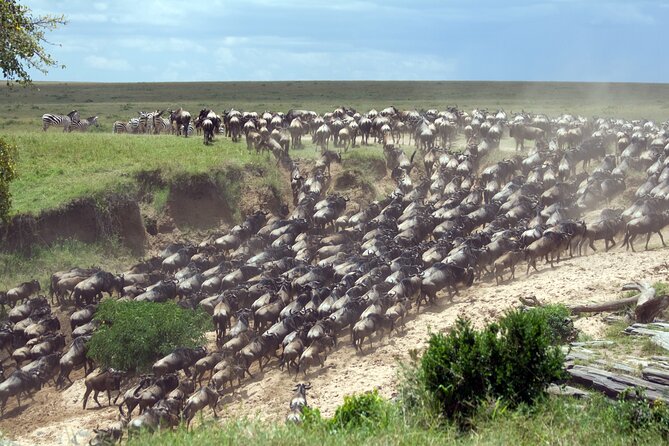 4-Day Tour to Tarangire, Serengeti and Ngorongoro - Five things to know before you book