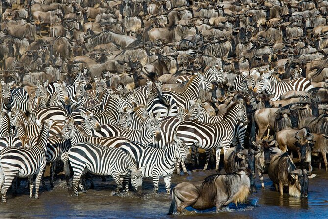 4-Day Tour to Tarangire, Serengeti and Ngorongoro - Day four: the Ngorongoro Crater finale