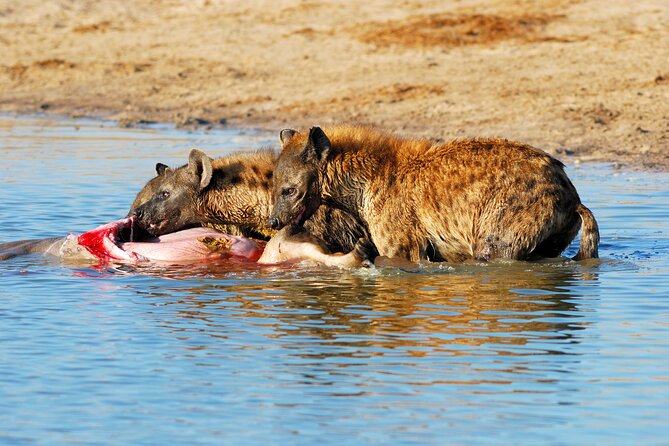 4-Day Tour to Tarangire, Serengeti and Ngorongoro - What the $900 price really covers