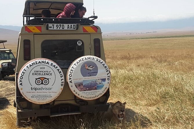 4 Days, 3 Nights Group budget Safari, Lake Manyara, Serengeti, Ngorongoro - Why the Small Group Matters