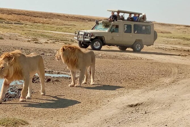 4 Days, 3 Nights Group budget Safari, Lake Manyara, Serengeti, Ngorongoro - Packing and Practical Details