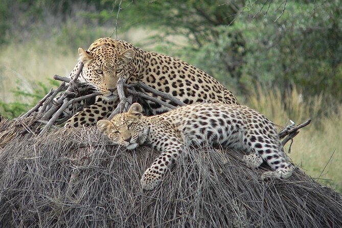 4 Days, 3 Nights Group budget Safari, Lake Manyara, Serengeti, Ngorongoro - Day Two: The Long Road to the Serengeti