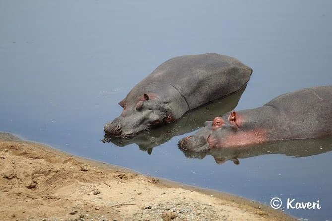 4 Days / 3 Nights Lake Manyara, Ngorongoro and Serengeti - What the safari vehicle and meals mean for you