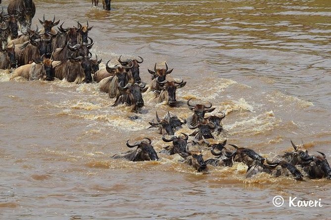 4 Days / 3 Nights Lake Manyara, Ngorongoro and Serengeti - The strongest part: people who keep the trip running