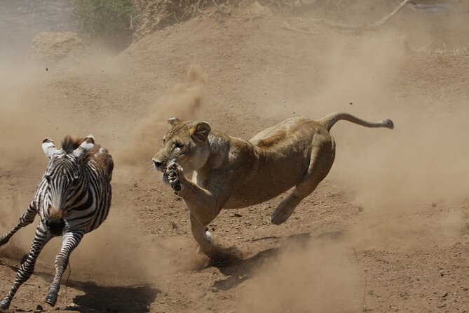 4 days 3 nights Safari- Tarangire, Serengeti and Ngorongoro Crater - What the $883.50 price really covers
