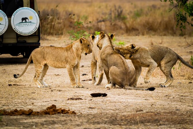 4 Days 3 Nights Safari to Mikumi National Park - How the private format changes the trip