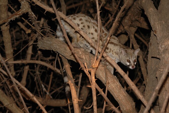 4 days / 3 Nights safari to Ruaha National park - Guides, staff, and the human side of the trip