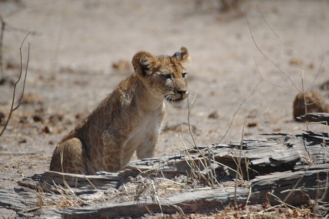 4 days / 3 Nights safari to Ruaha National park - Who will enjoy this safari most
