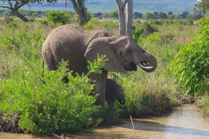 4 Days 3 Nights Selous (Nyerere national park) & Mikumi Adventure - Key points at a glance