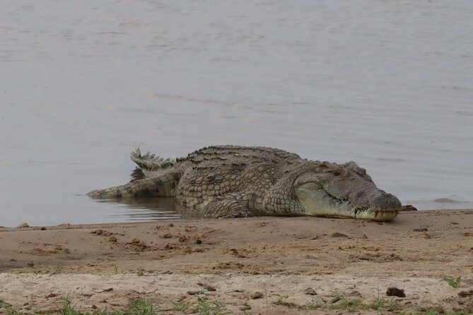 4 Days 3 Nights Selous (Nyerere national park) & Mikumi Adventure - Day 1: Five and a half hours to the Rufiji River
