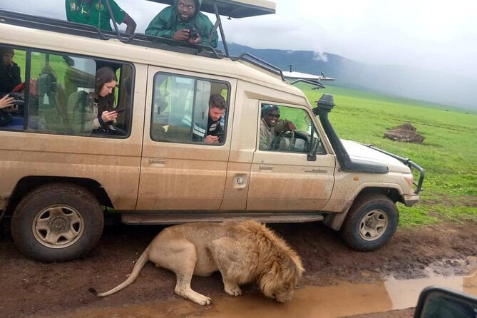 4 Days /3 nights Tarangire, Serengeti and Ngorongoro crater - Day 1: Tarangire’s elephants and baobab country