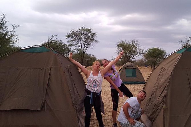 4 Days 3 Nights Tarangire Serengeti & Ngorongoro Lodge Safari - Guides, vehicles, and the private format