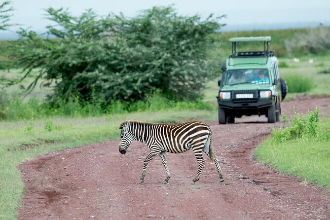 4 days adventure camping safari - What the $1,650 price buys you