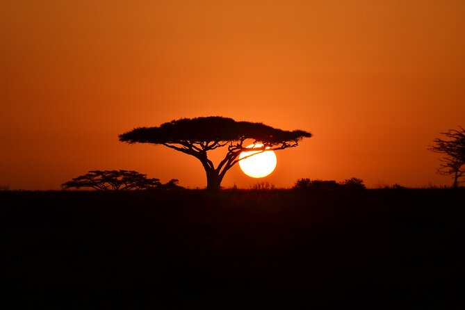 4 days adventure camping safari - Wildlife chances, guides, and the human side of the trip