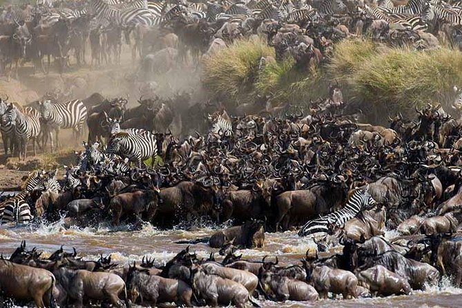 4-Days Adventure Camping Safari to Tarangire, Serengeti & Ngorongoro - Guides, cooks, and the human side of the safari