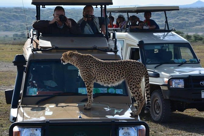 4-Days Adventure Camping Safari to Tarangire, Serengeti & Ngorongoro - Day 1: Tarangire’s elephants and ancient baobabs