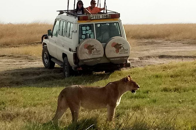 4 Days Affordable Tanzania Budget Safari - What this four-day route is really like