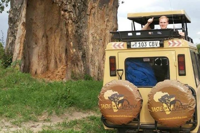 4 Days Affordable Tanzania Budget Safari - Tarangire: a strong first park for elephant sightings