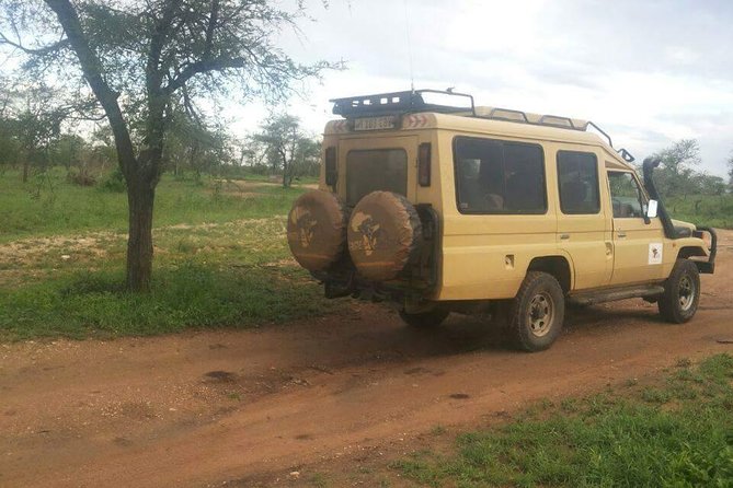 4 Days Affordable Tanzania Budget Safari - The road toward the Serengeti