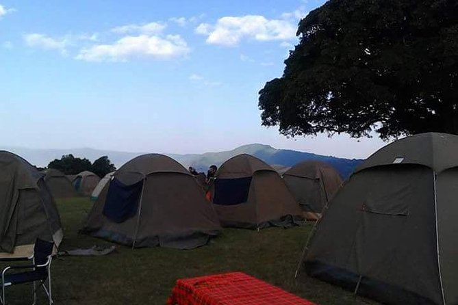 4 Days Affordable Tanzania Budget Safari - Arrival in Arusha and the first morning