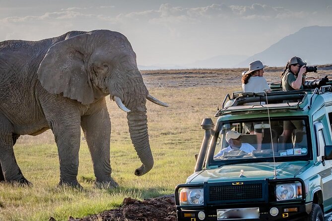 4 days Awesome Luxury safari Tarangire Serengeti & Ngorongoro - Sunrise predators and the central Serengeti