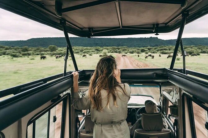 4 days Awesome Luxury safari Tarangire Serengeti & Ngorongoro - The private format and who will enjoy it most