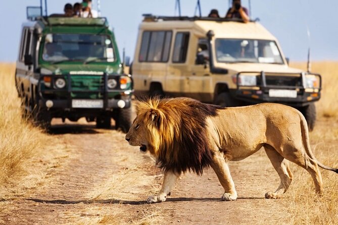 4 days Awesome Luxury safari Tarangire Serengeti & Ngorongoro - Crossing the highlands into the endless Serengeti