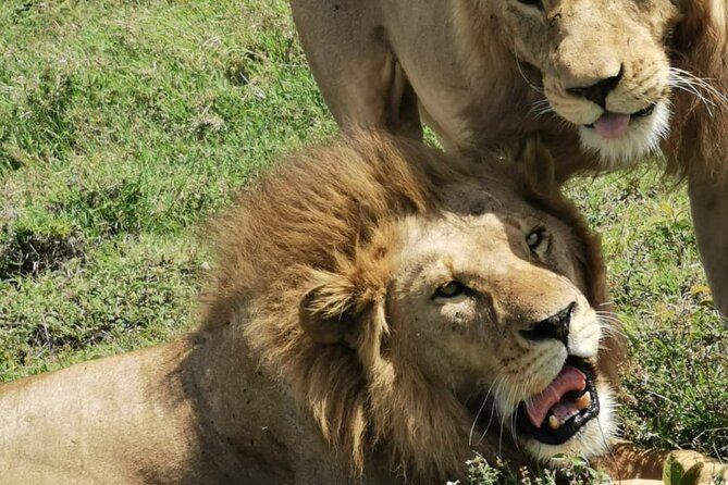 4 Days Big 5 Tour & Cultural Experience - What the $1,700 price includes