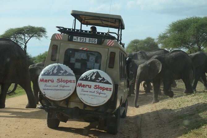 4 Days Big 5 Tour & Cultural Experience - Who should book this safari?