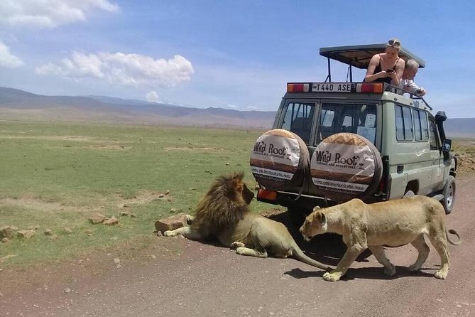4: days Big five safari - Day two: descending into Ngorongoro Crater