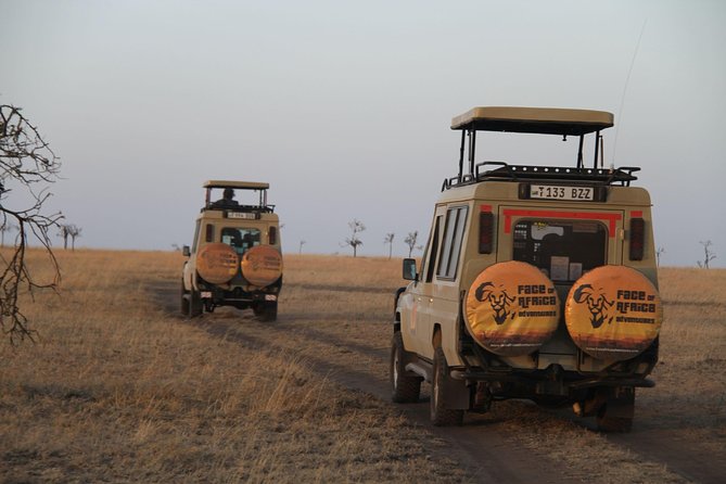 4 Days Game drives Safari Tarangire, Serengeti and Ngorongoro Crater - Day two: Olduvai Gorge and the road to Serengeti