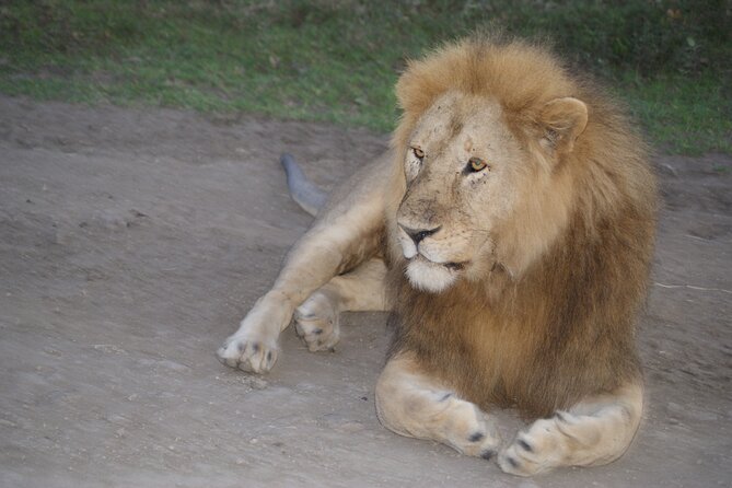 4 Days Group Camping Safari - What makes this safari worth considering