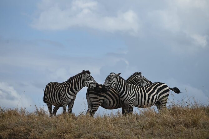 4 Days Group Camping Safari - Three parks, three different safari experiences