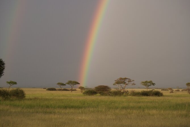 4 Days Group Camping Safari - Day 4: Descending 600 meters into Ngorongoro Crater