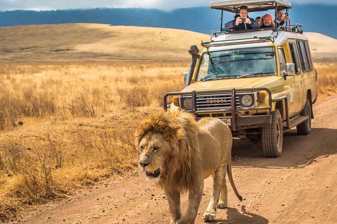 4 Days Group Joining Camping Tanzania safari - Day 2: The long road into Serengeti National Park