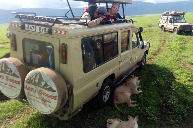 4 Days Join Group tour Tarangire Serengeti and Ngorongoro crater - Food, packing, and small practical warnings