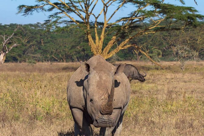 4 Days Joined Group Safari Serengeti,Ngorongoro and Tarangire National Parks - Who should book this safari?