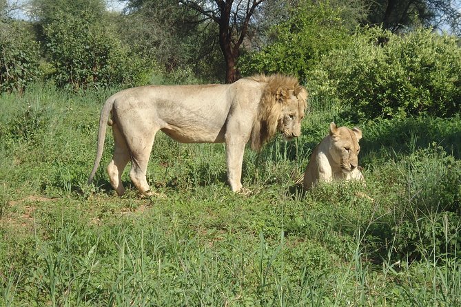 4 Days Joining group budget camp Safari in Serengeti , Ngorongoro and Tarangire - Ngorongoro: dramatic scenery and high wildlife hopes