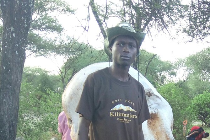 4 Days Lake Manyara National Park, Ngorongoro Crater , Serengeti National Park. - Arrival at Kilimanjaro and the first briefing