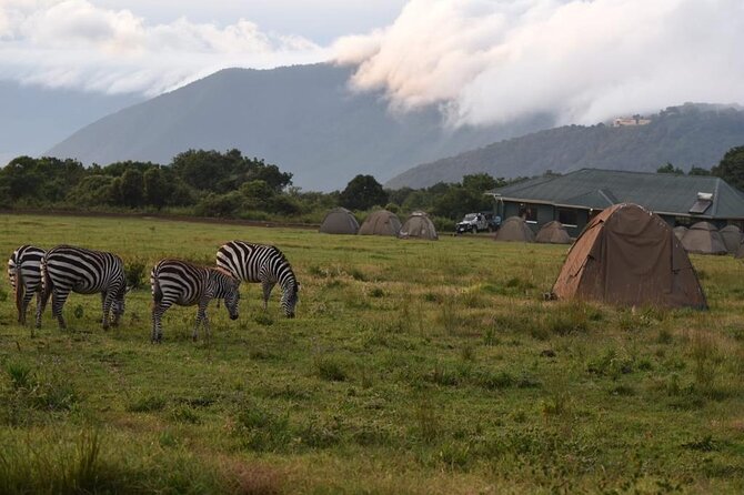 4 Days lodge &camping Tarangire,Serengeti, Ngorongoro Safari Tour - Who will get the most from this safari?