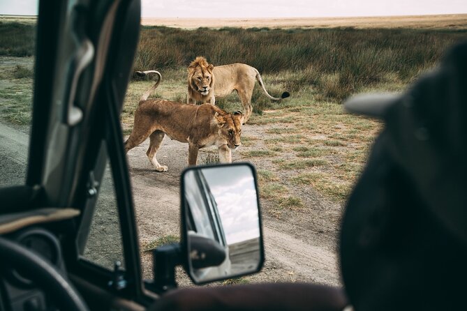 4 Days Lodge Safari in Lake Manyara, Serengeti & Ngorongoro Crater - Day 2: Crossing the crater highlands into the Serengeti