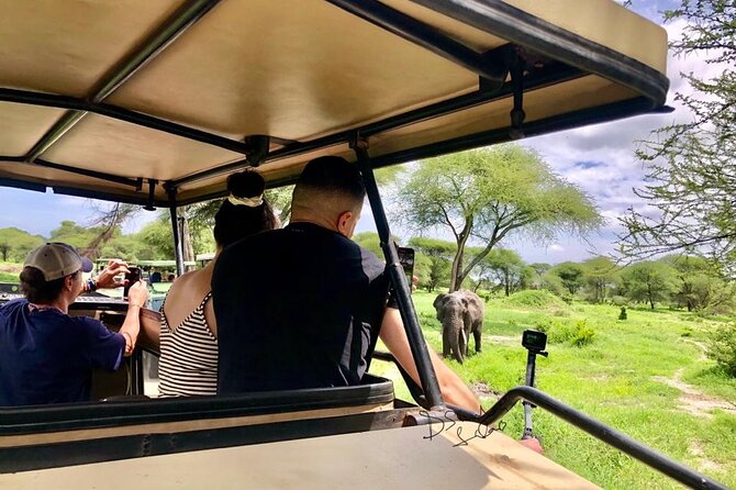 4 Days lodge safari Tarangire , Ngorongoro crater & Walking - Day 3: A Full Wildlife Day Inside Ngorongoro Crater