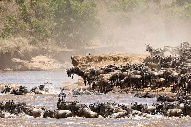 4 Days Luxury Lodge Safari Tour Tanzania - Day 1: Arusha to Tarangire and the elephant country