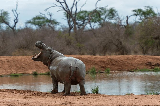 4 Days Luxury Lodge Safari Tour Tanzania - What the luxury label includes, and what it does not